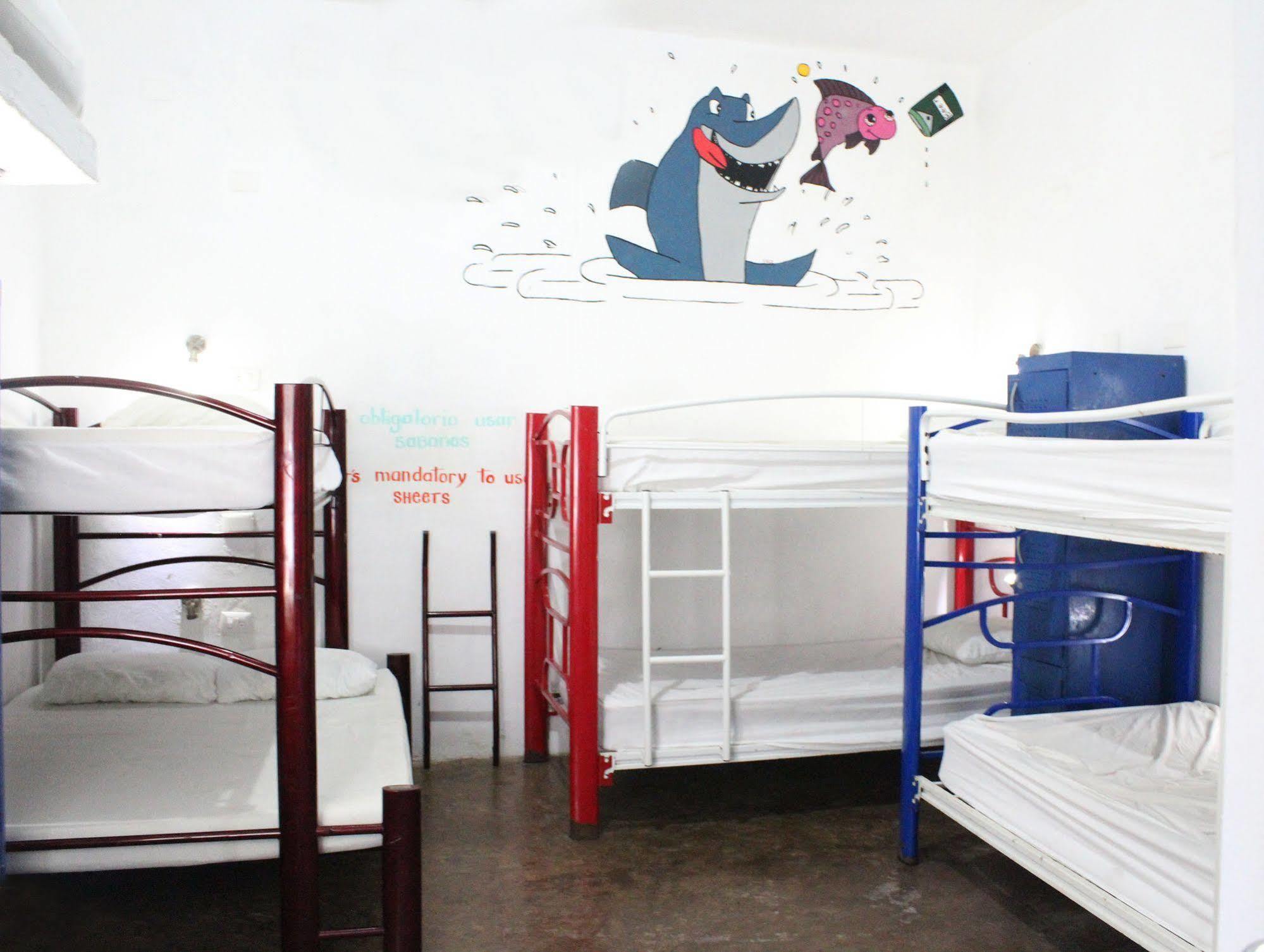 פלאייה דל כרמן Hostal Vive La Vida מראה חיצוני תמונה