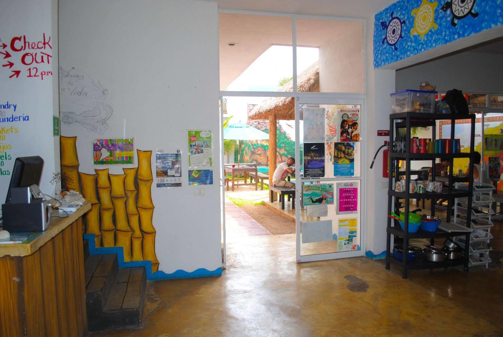 פלאייה דל כרמן Hostal Vive La Vida מראה חיצוני תמונה