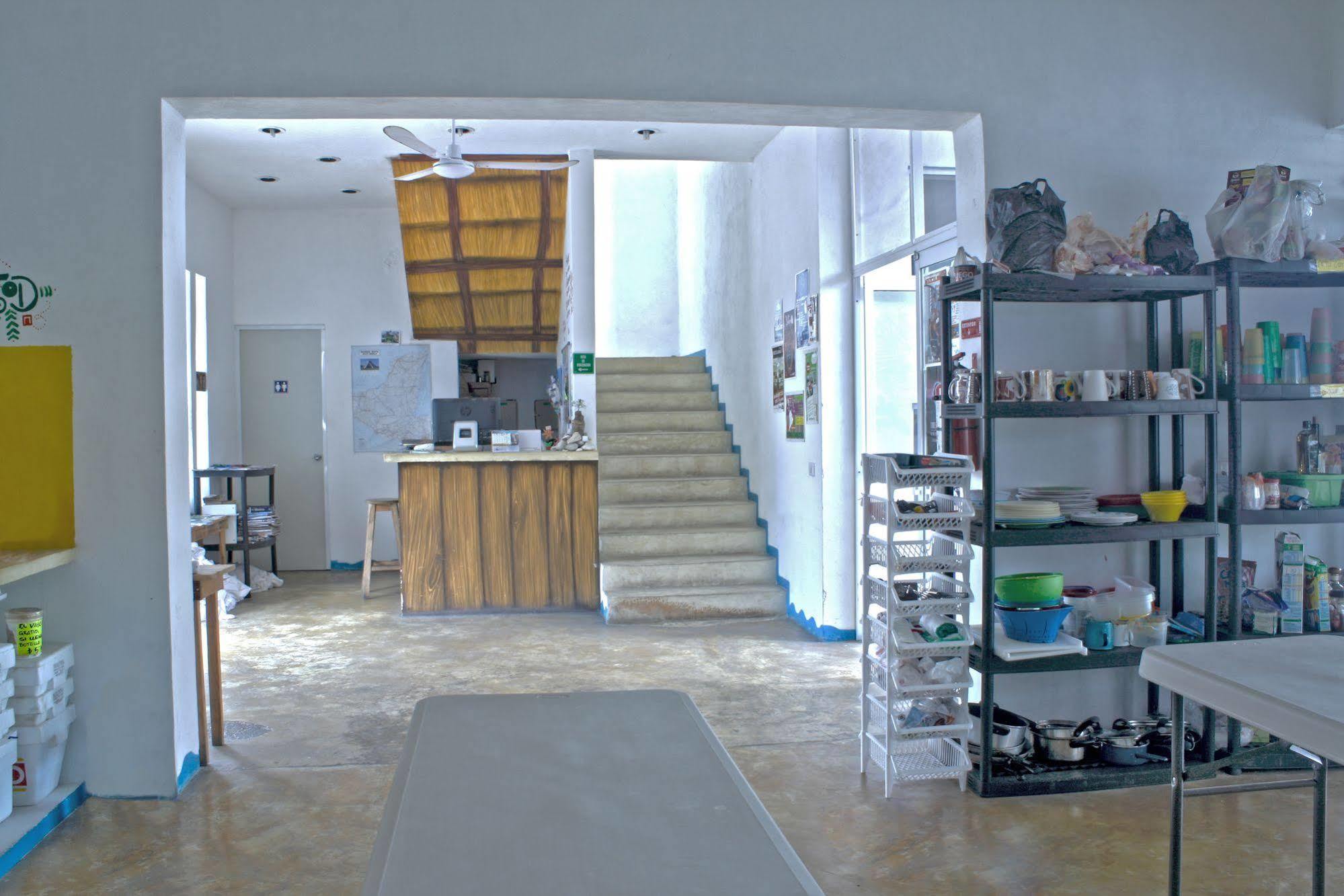 פלאייה דל כרמן Hostal Vive La Vida מראה חיצוני תמונה