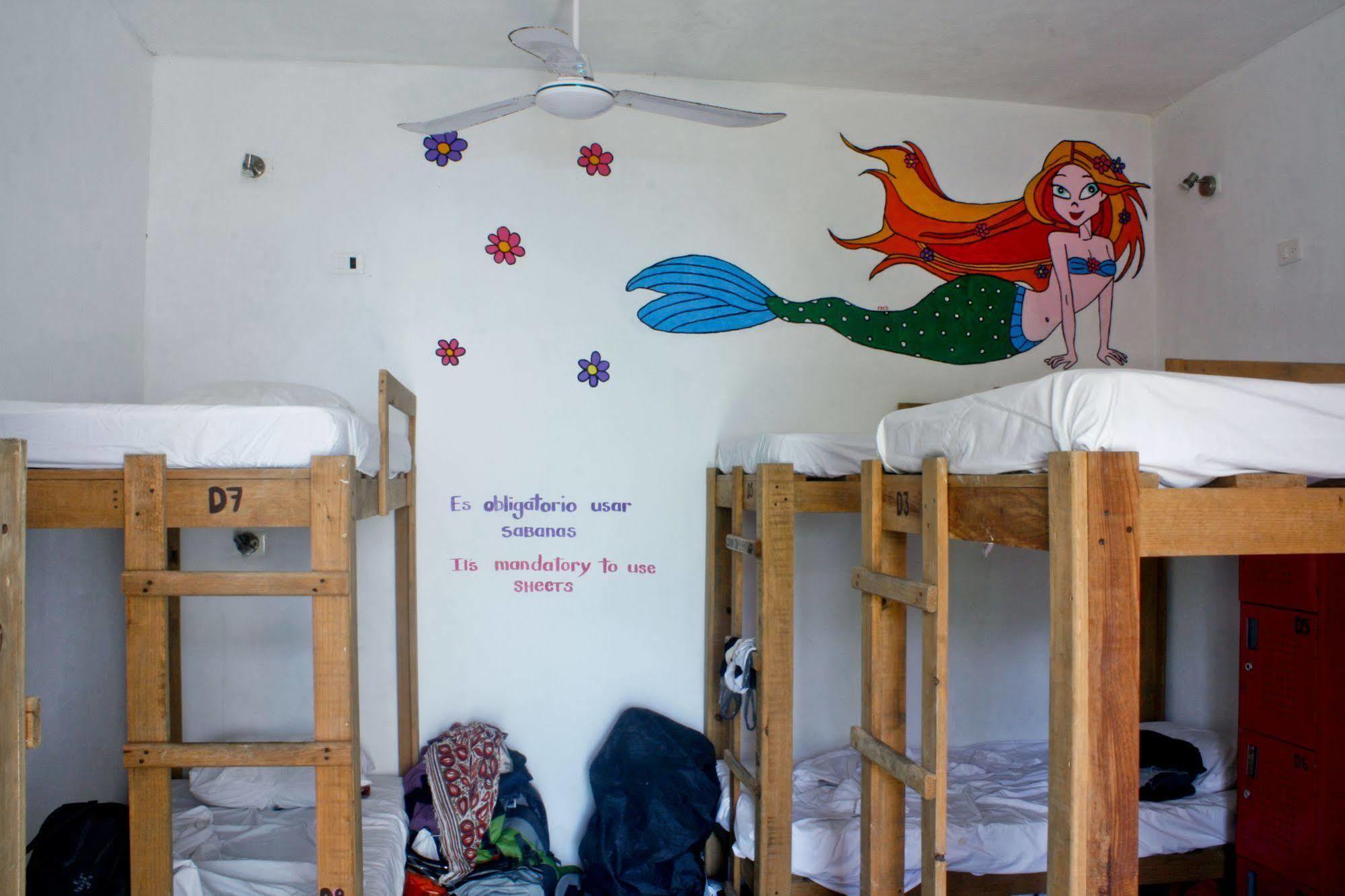 פלאייה דל כרמן Hostal Vive La Vida מראה חיצוני תמונה
