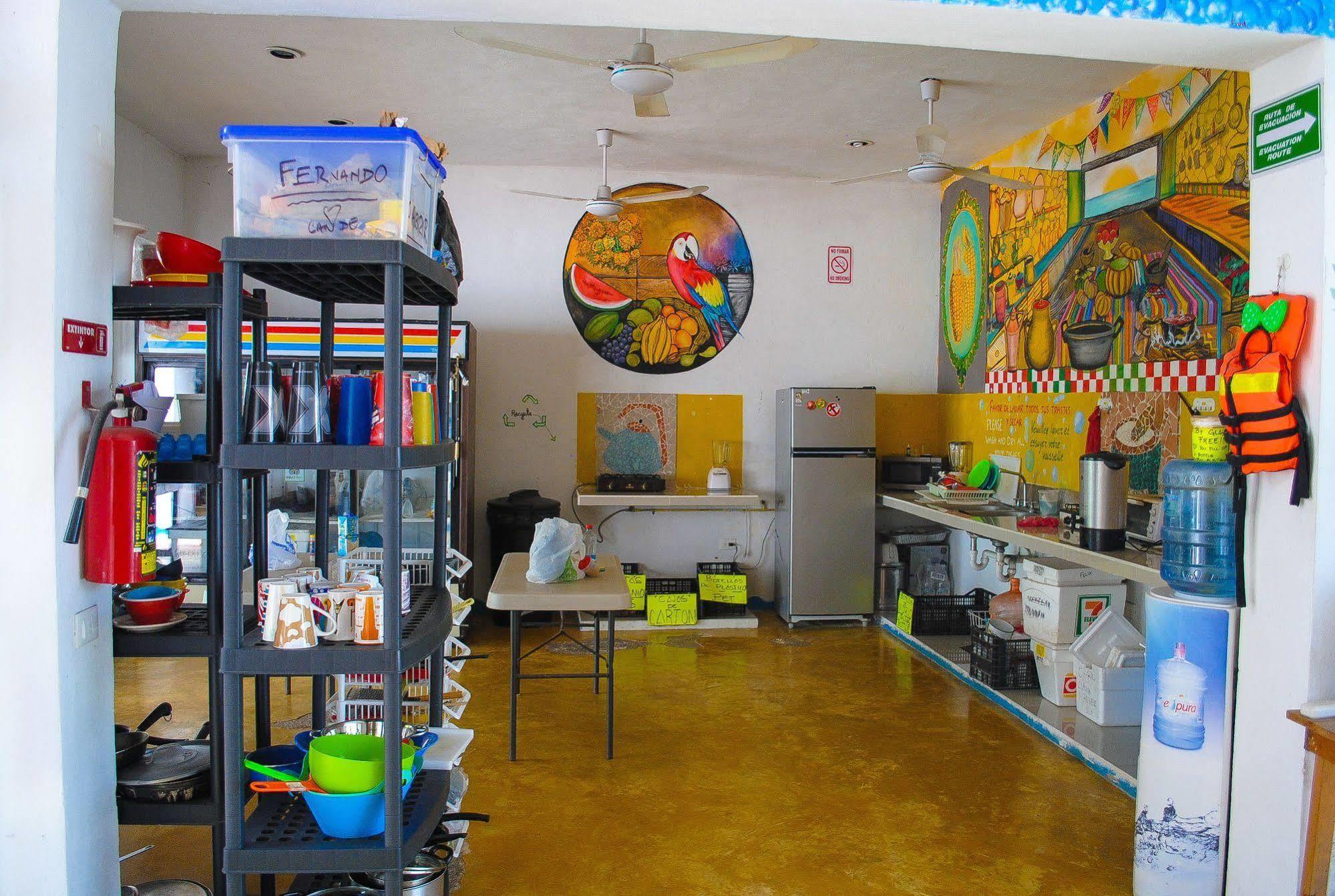 פלאייה דל כרמן Hostal Vive La Vida מראה חיצוני תמונה