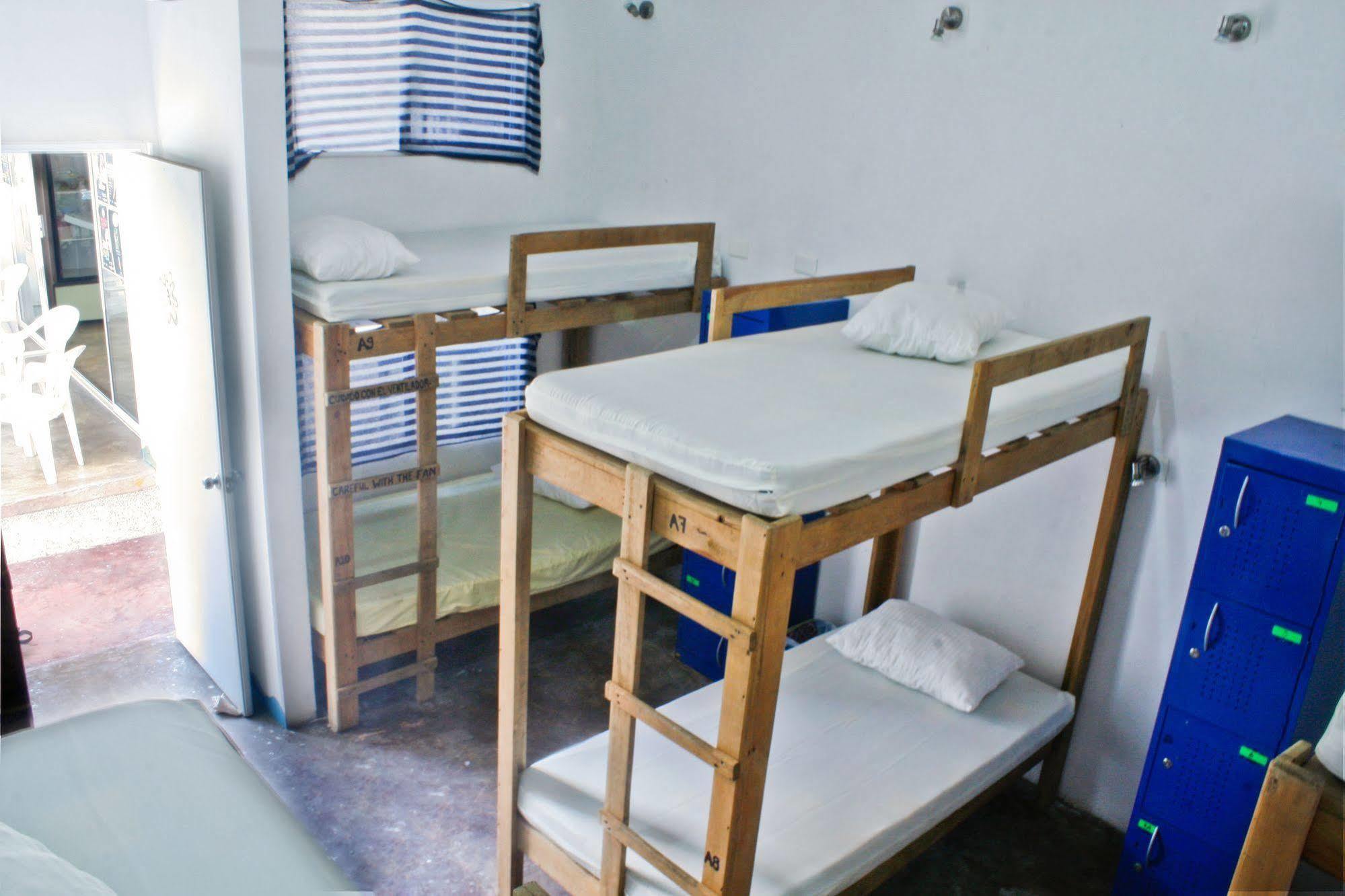 פלאייה דל כרמן Hostal Vive La Vida מראה חיצוני תמונה